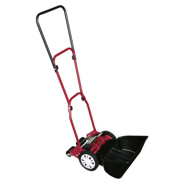 キンボシ(kinbosi)