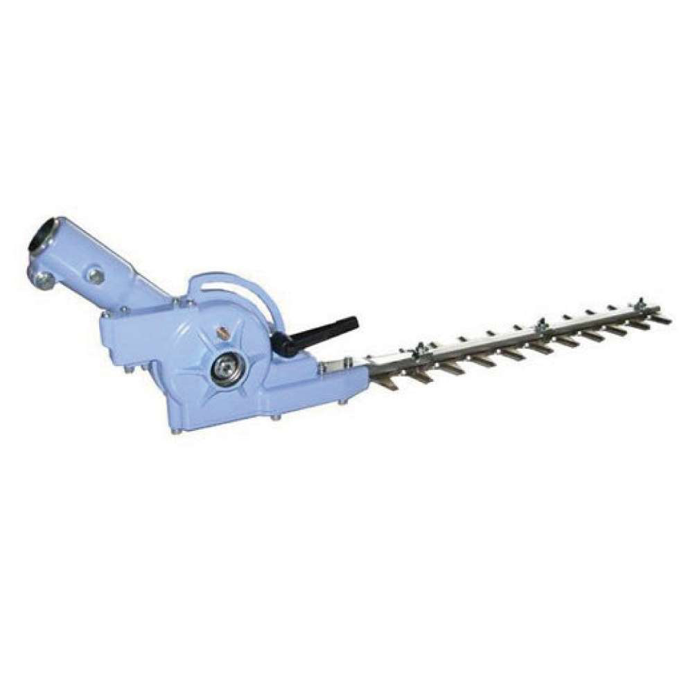 ニシガキ(Nishigaki)