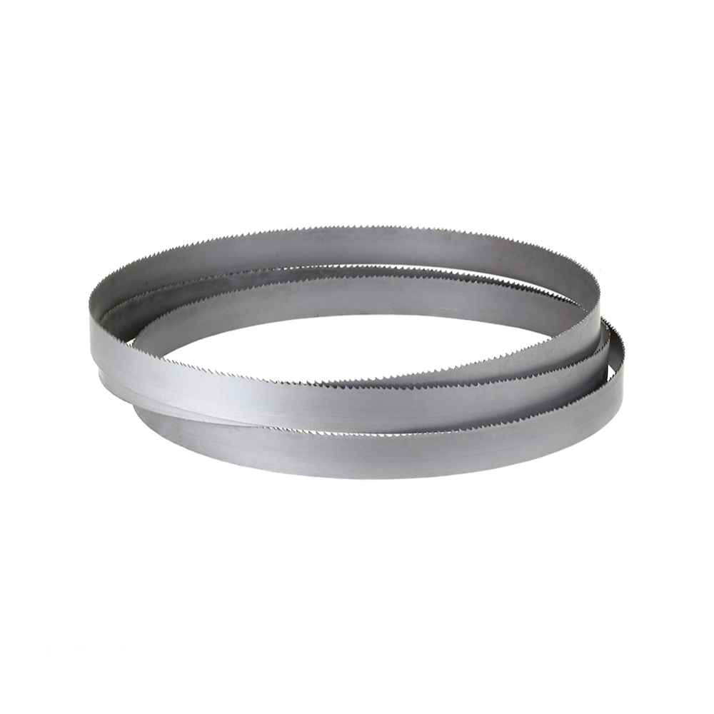 レジトン(Regiton/Rejiton)