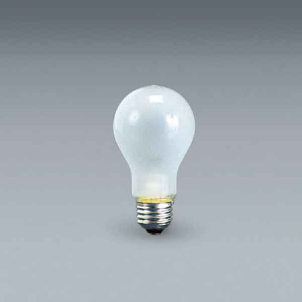 照明機器・器具・交換球