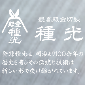 種光(たねみつ)