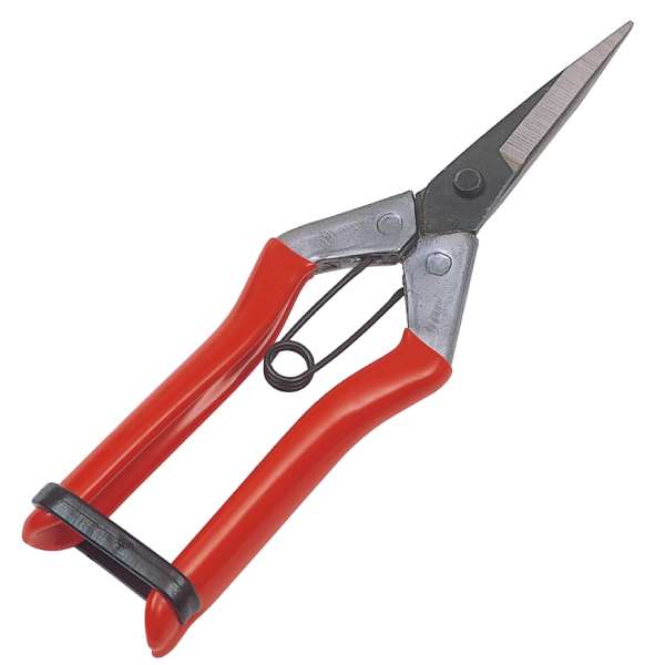 キンボシ 大福芽切鋏 185mm 2286 工具通販クニモトハモノ 国本刃物